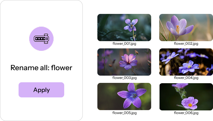 Batch rename images
