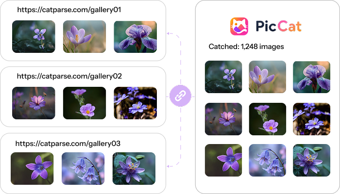 Catch images from urls