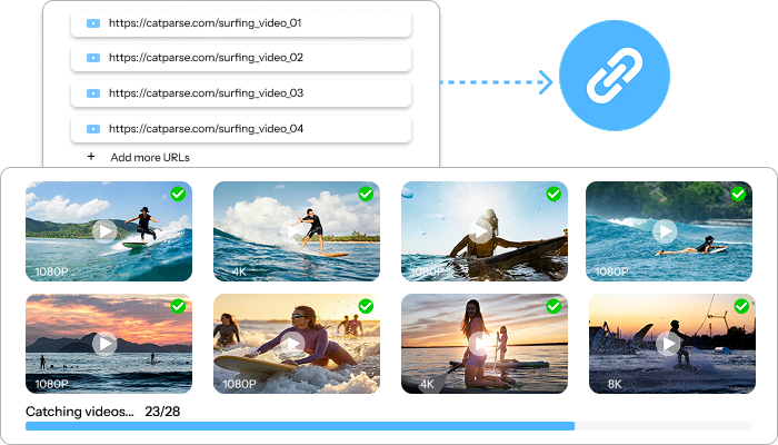 Catch videos from urls