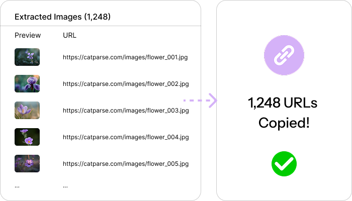 Copy image urls