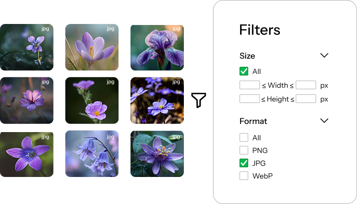 Filter images