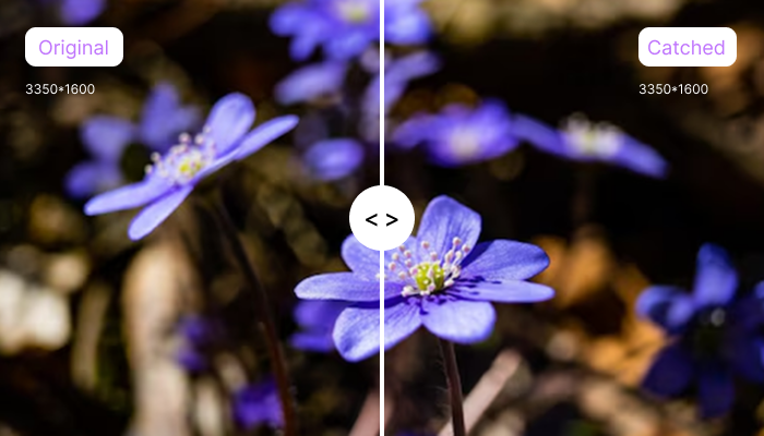 Extract high quality images