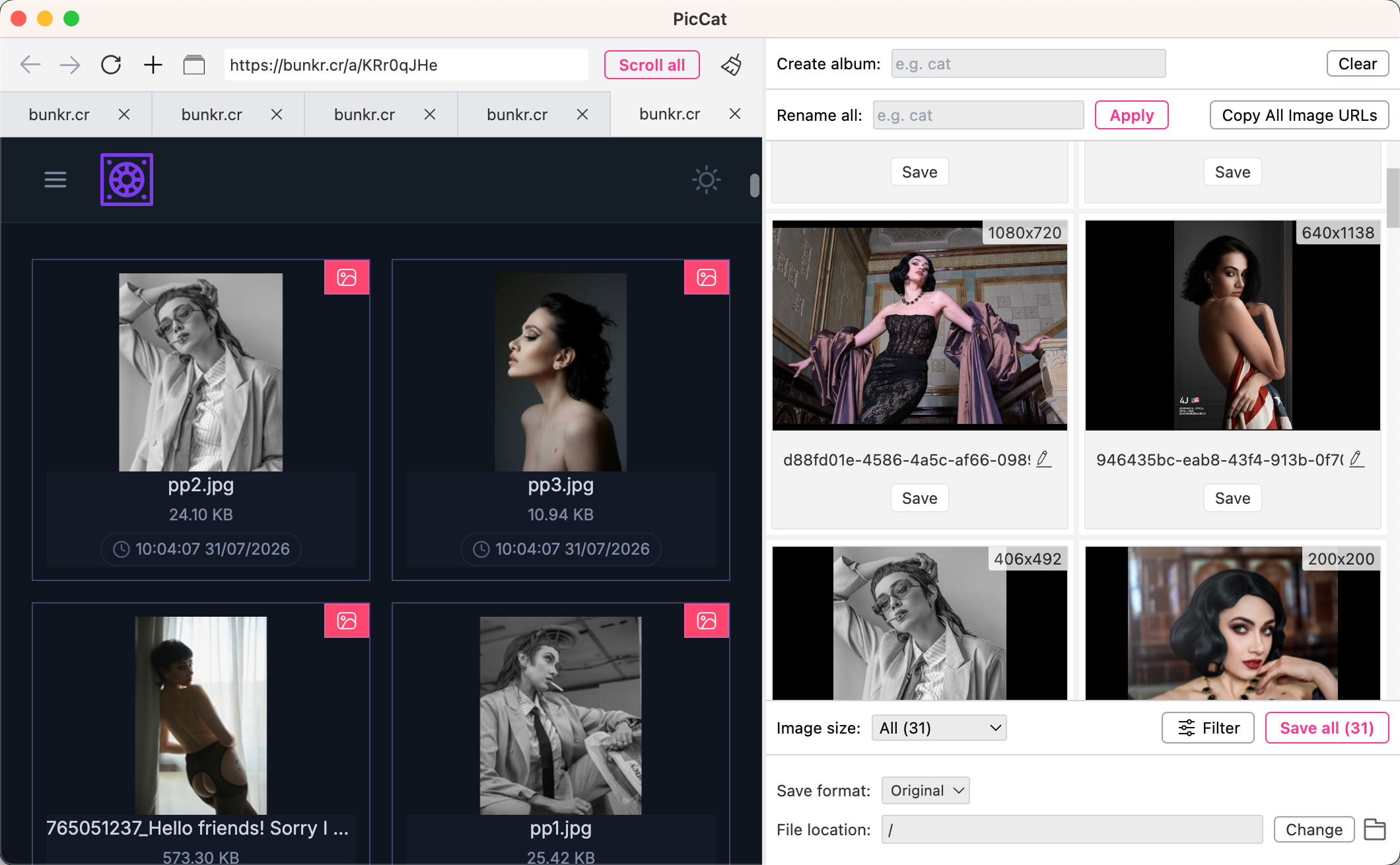 download all bunkr pictures with piccat