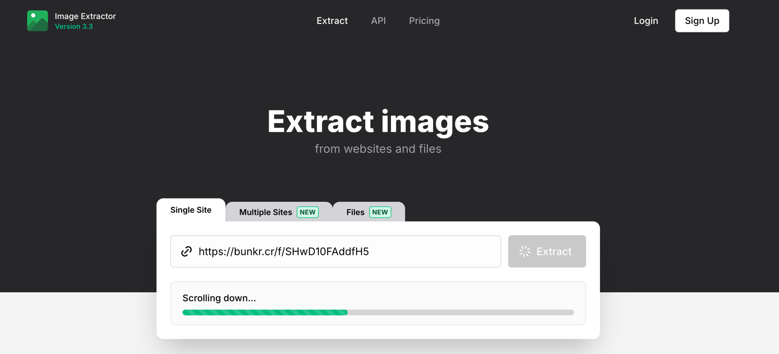download bunkr picture with online downloader