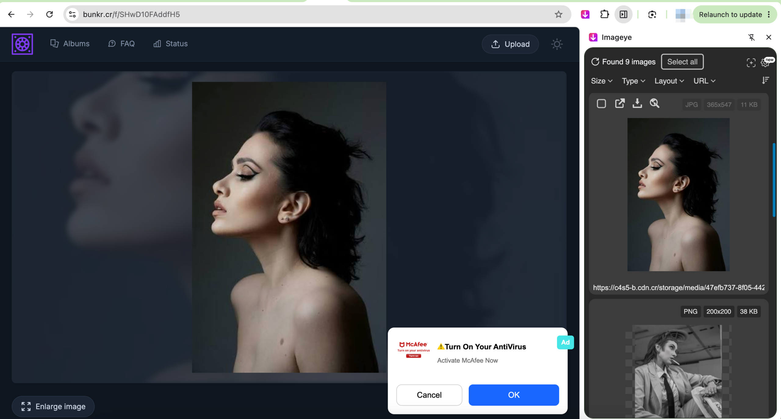 download bunkr pictures with extension