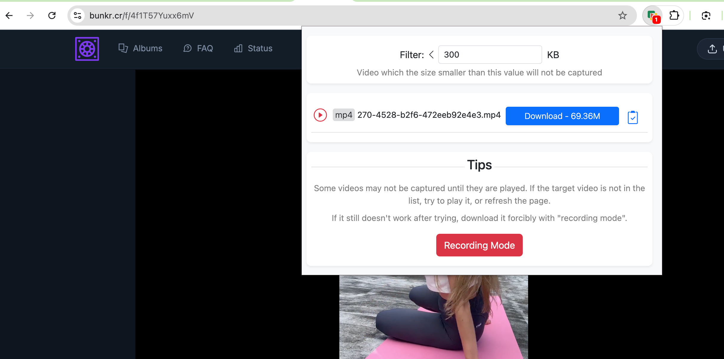 download bunkr video with extension