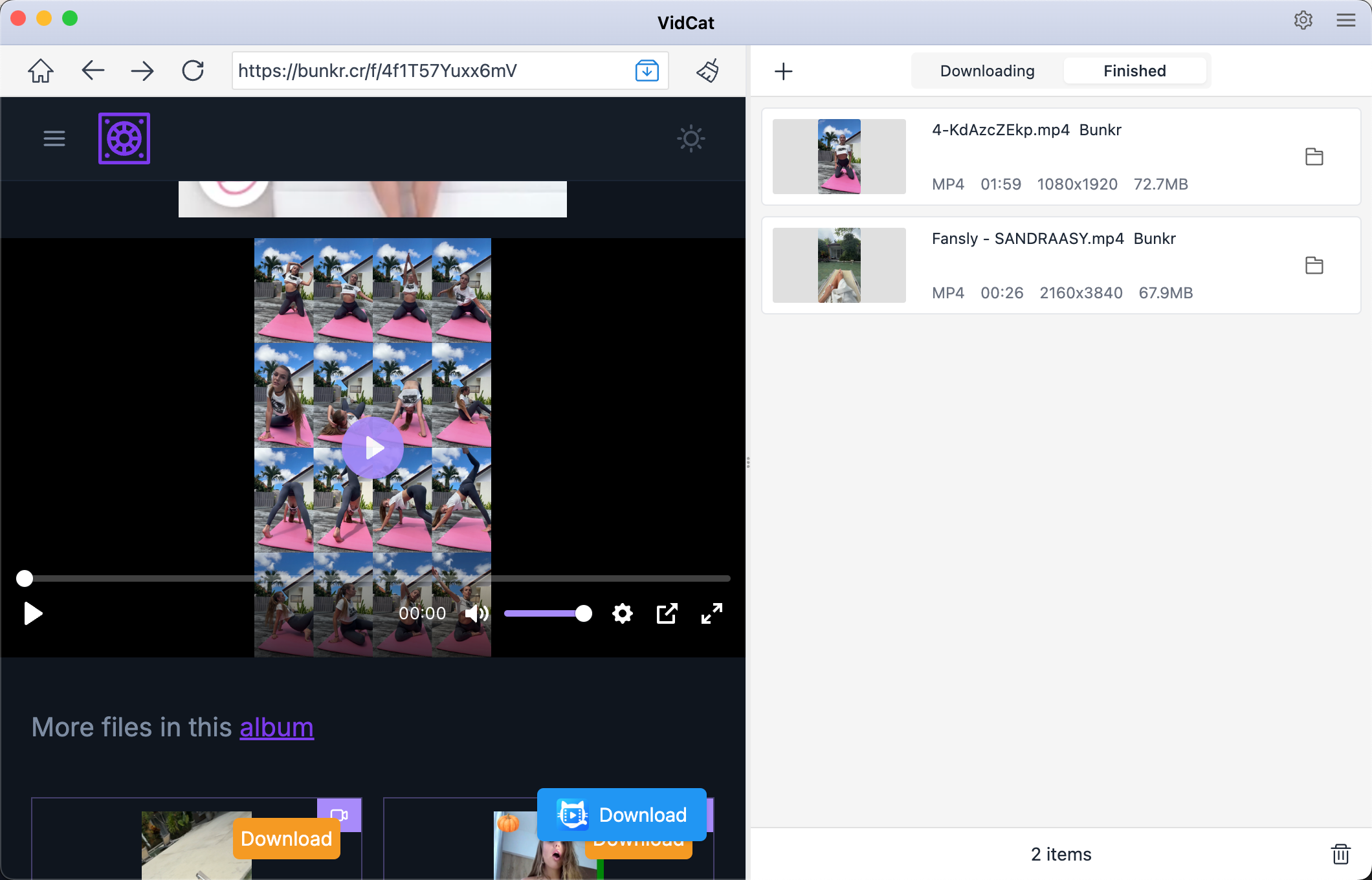 download bunkr videos with vidcat
