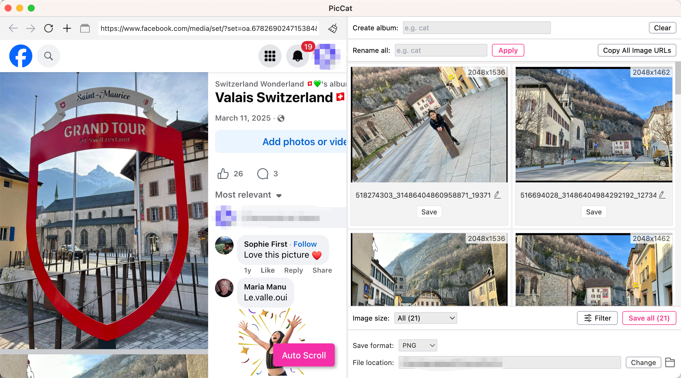 download facebook album photos with piccat