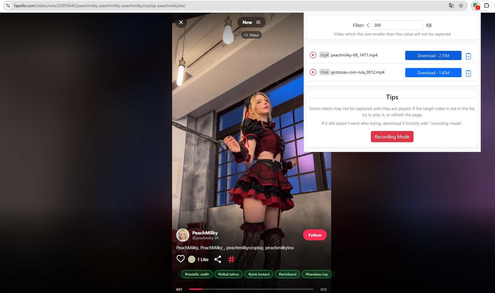 download fapello video with extension