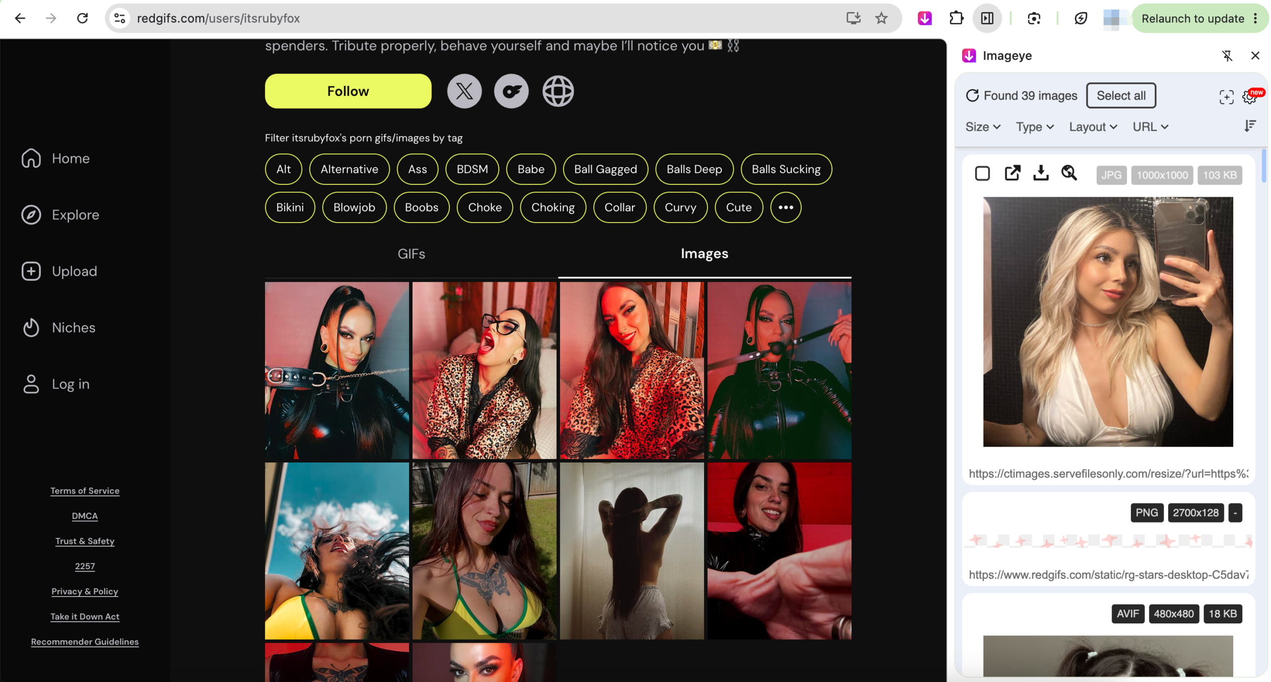 download redgifs images with extension