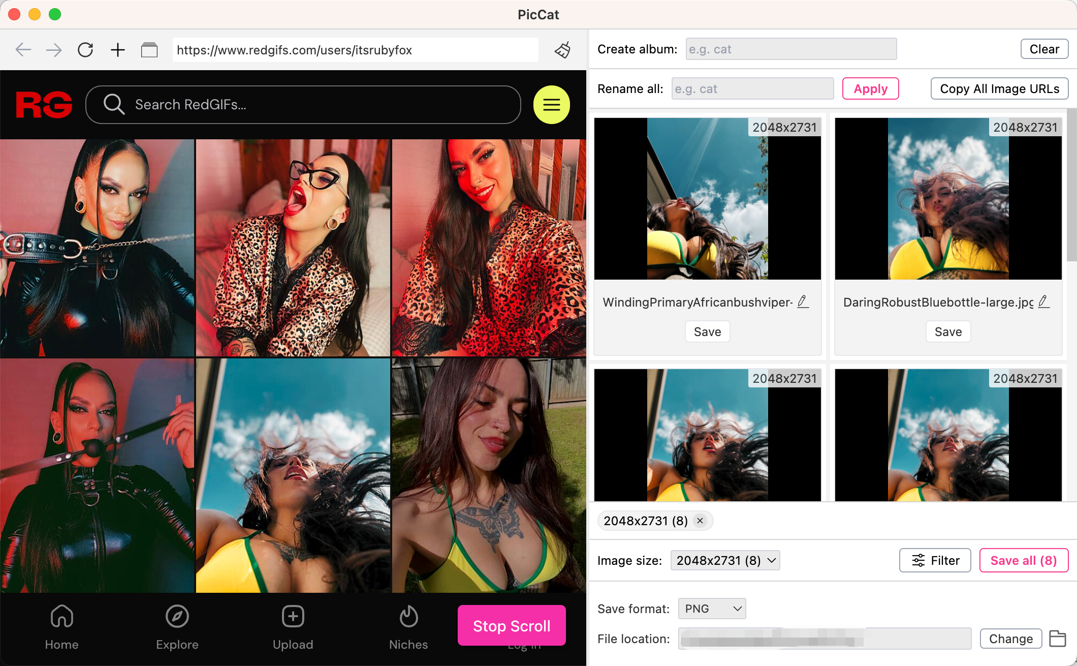 download redgifs images with piccat
