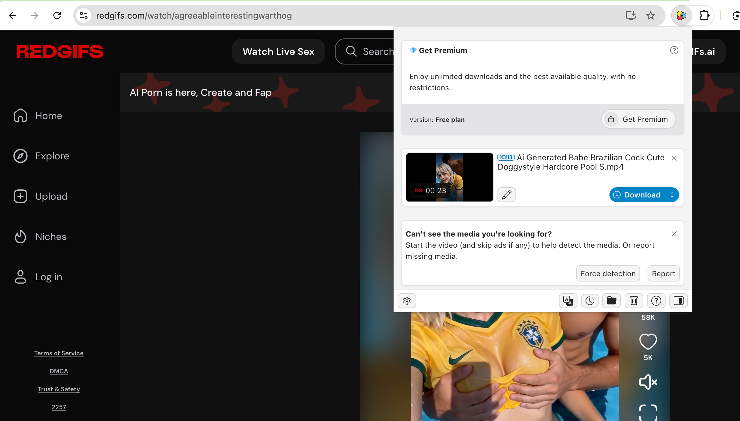 download redgifs with extension