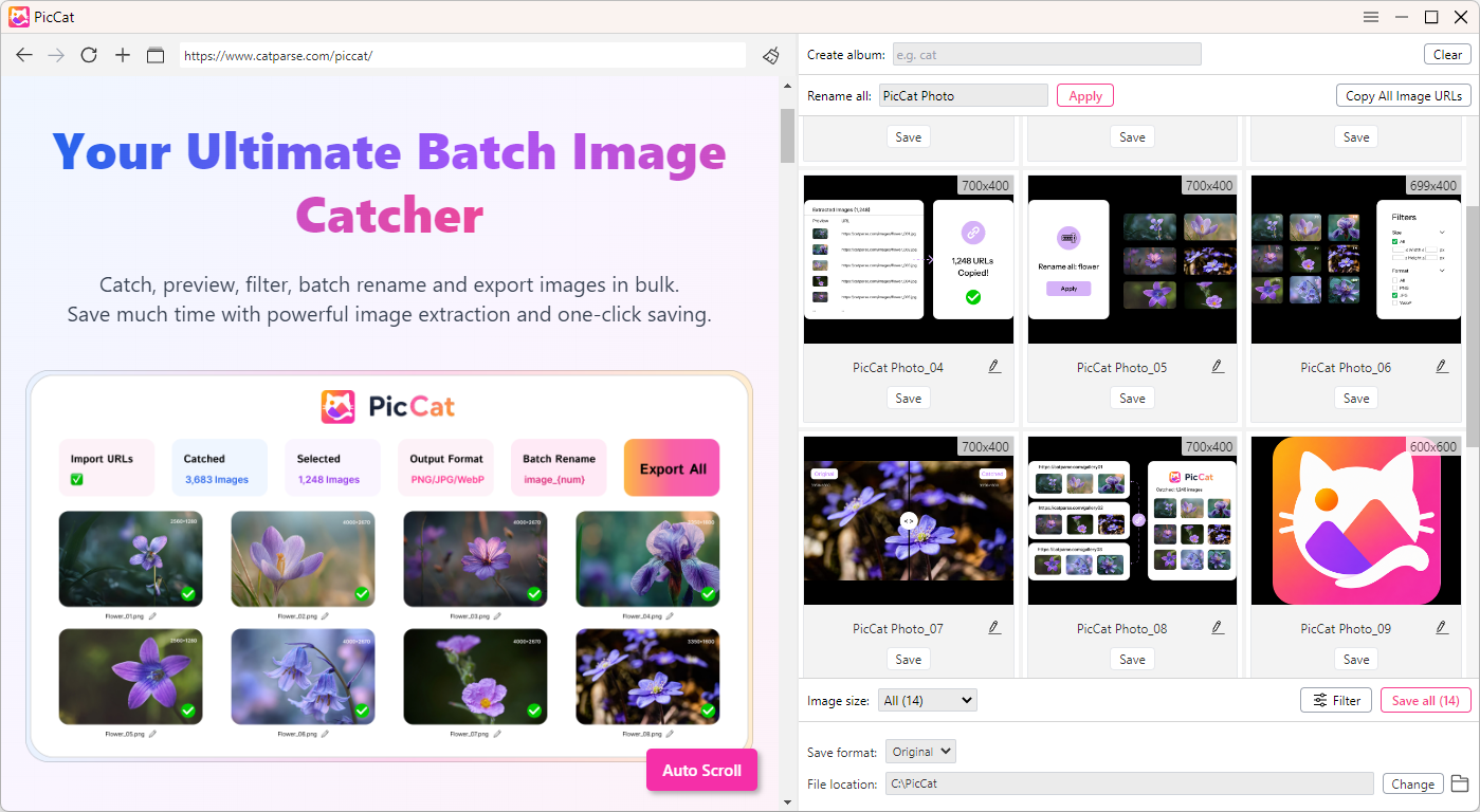 piccat download all piccat website photos