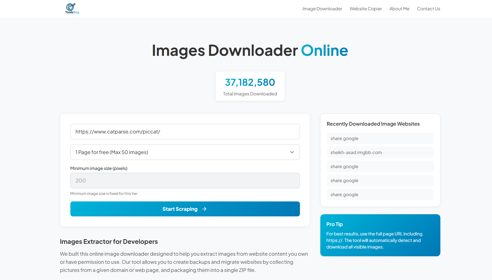 toolsbug download piccat website images