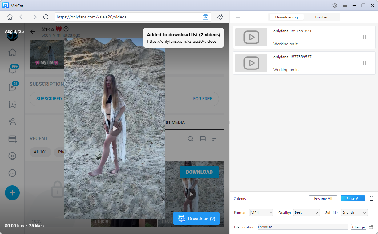vidcat built-in browser